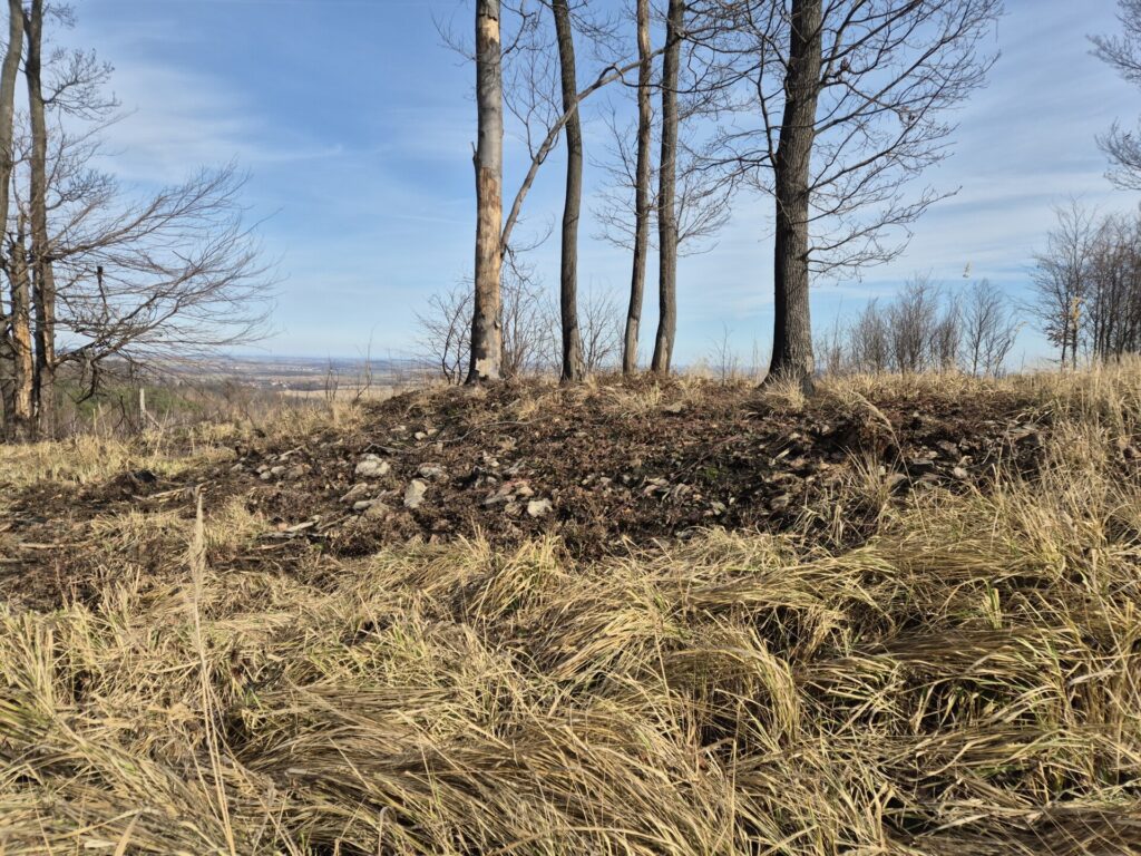 widok na wał przy grodzisku