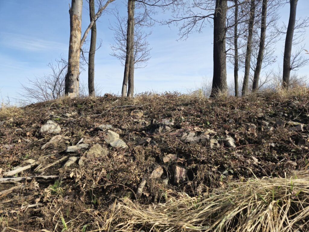 widok z bliska na wał