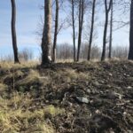 widok na wał grodziska od strony wejścia