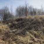 widok z lewej strony grodziska na wał porośnięty trawą