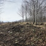 widok z lewej strony wału grodziska