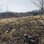 widok z lewej strony wału grodziska