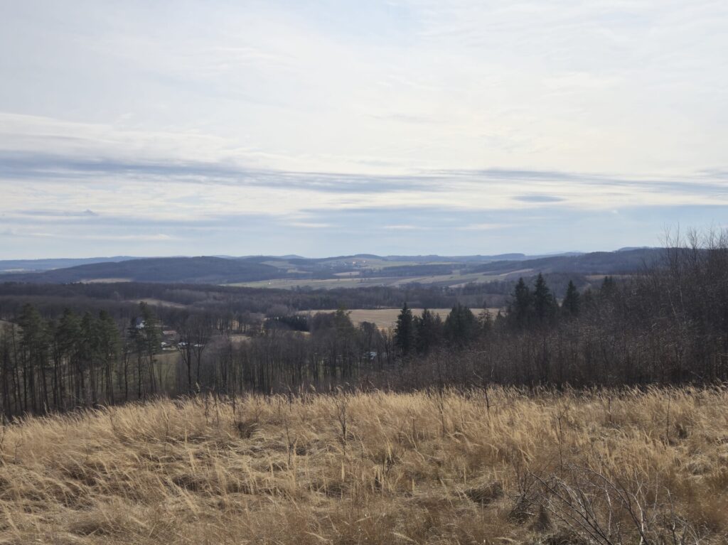 panorama ze szczytu grodziska