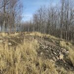 widok z prawej strony na wał grodziska