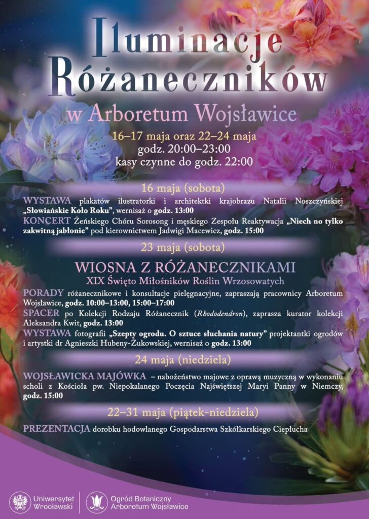 plakat iluminacje różaneczników