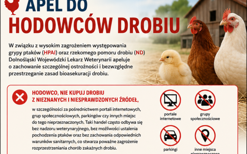 Grafika z apelem do hodowców drobiu