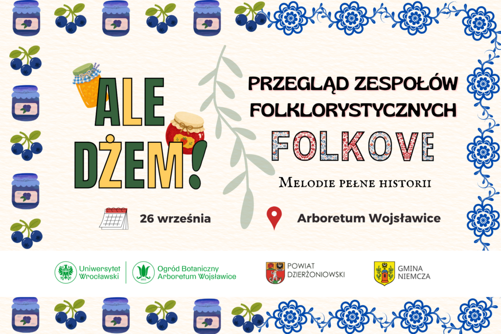 Grafika na stronę Folkove 2026 i ale dżem