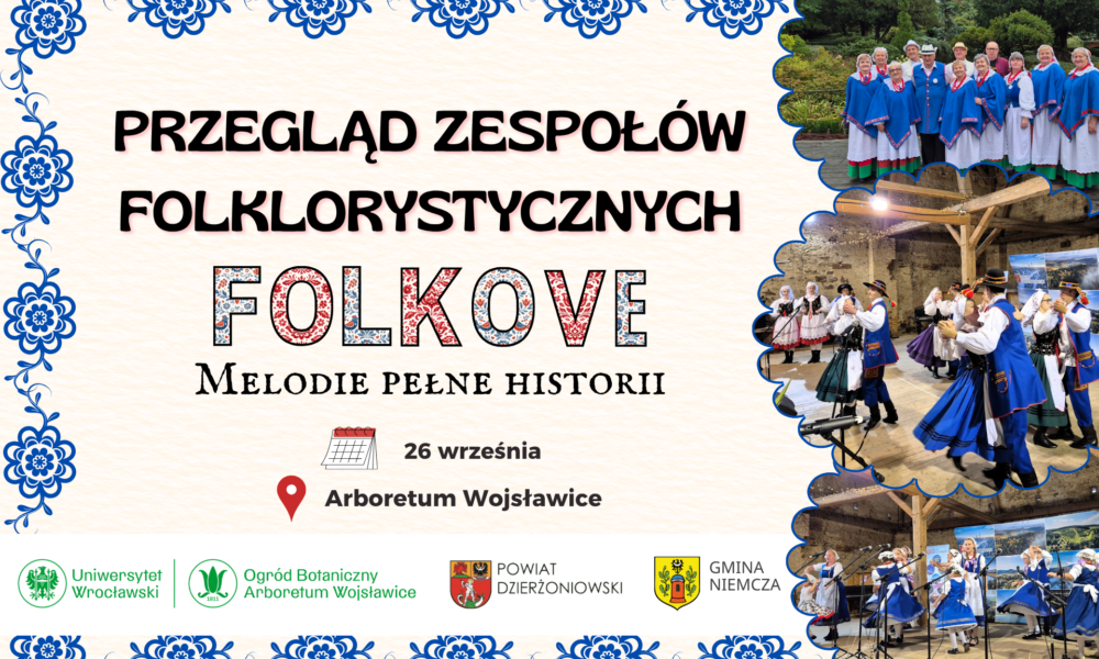Grafika na stronę Folkove 2026
