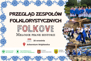 Grafika na stronę Folkove 2026