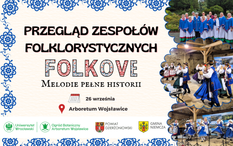 Grafika na stronę Folkove 2026