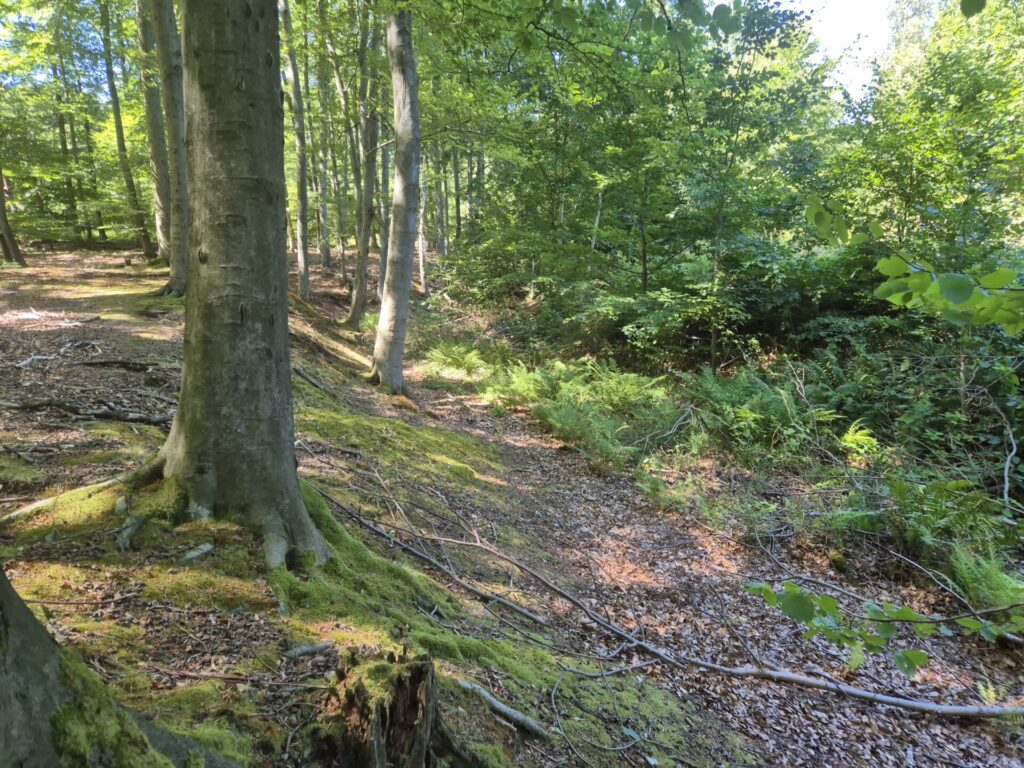 okop przeciwczołgowy, widok z boku