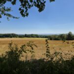 widok na panoramę pola