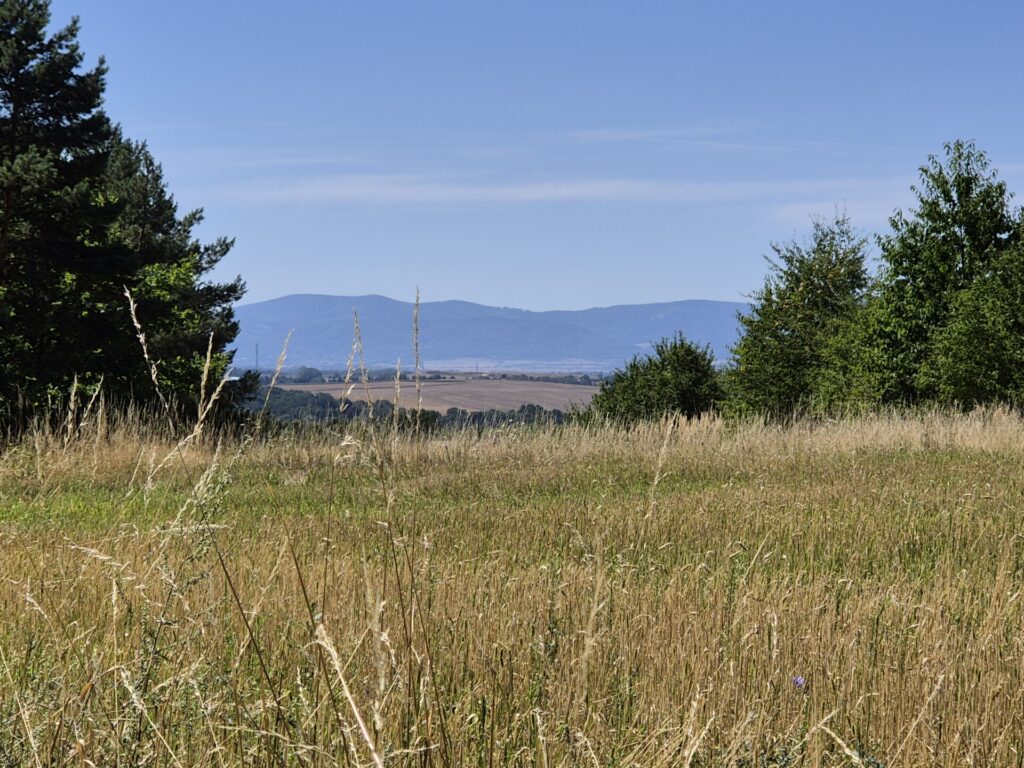 widok na panoramę gór
