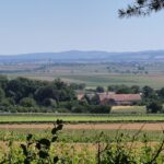 widok na panoramę gór