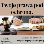 infografika 23