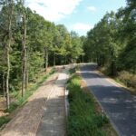 widok na ścieżkę pieszo - rowerową Dobrocin - Niemcza 4