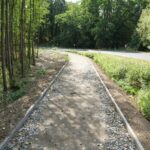 widok na ścieżkę pieszo - rowerową Dobrocin - Niemcza 5