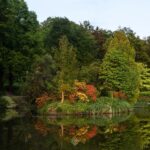 arboretum zieleń i kwiaty