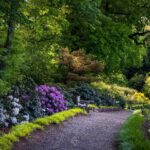 arboretum zieleń i kwiaty
