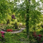 arboretum zieleń i kwiaty