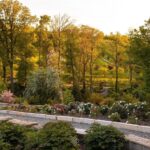 arboretum zieleń i kwiaty