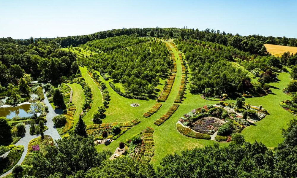 wzgórze arboretum z góry