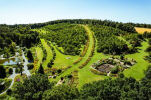wzgórze arboretum z góry