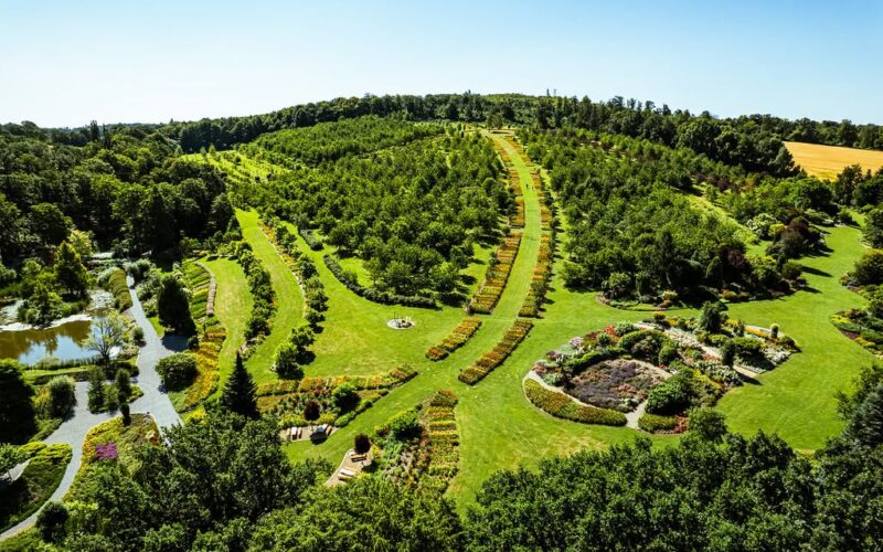 wzgórze arboretum z góry