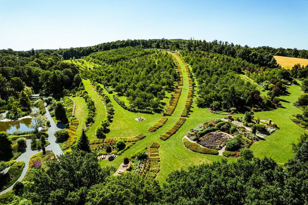 wzgórze arboretum z góry